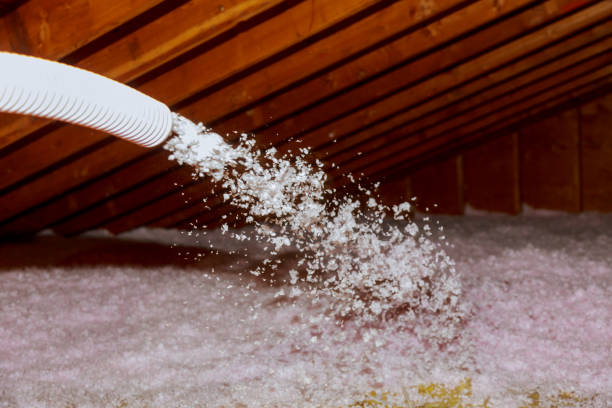 Trusted New Baltimore, MI Insulation Contractor Experts