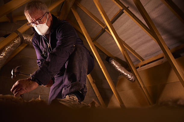 Best Cellulose Insulation in New Baltimore, MI